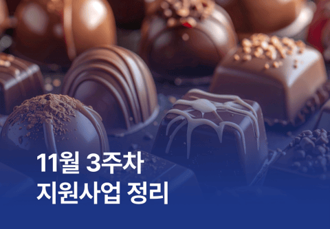 [지원사업] 11월 3주차 지원사업 정리