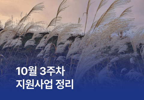 [지원사업] 10월 3주차 지원사업 정리